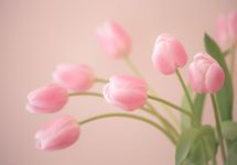 Поздравление с Международным женским днем